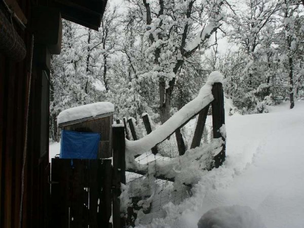 backyard snow 3-11-06