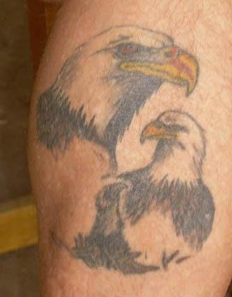 Rocky's eagles... got ink!