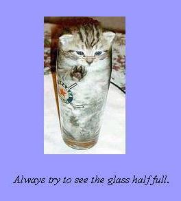 glass half full kitt.jpg
