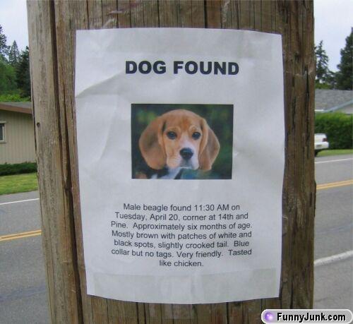 dog_found.jpg