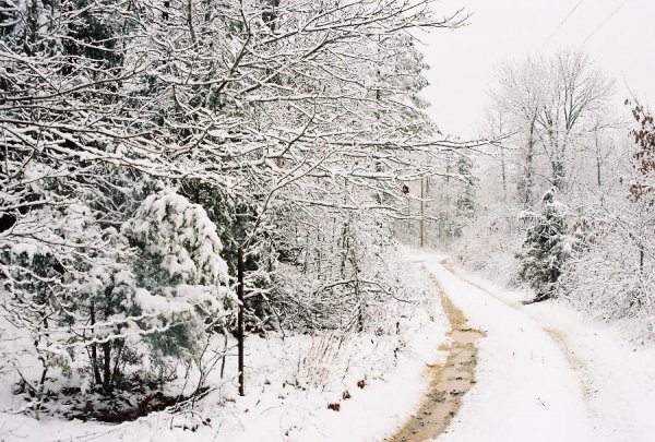 Top of my driveway after the snow started going away