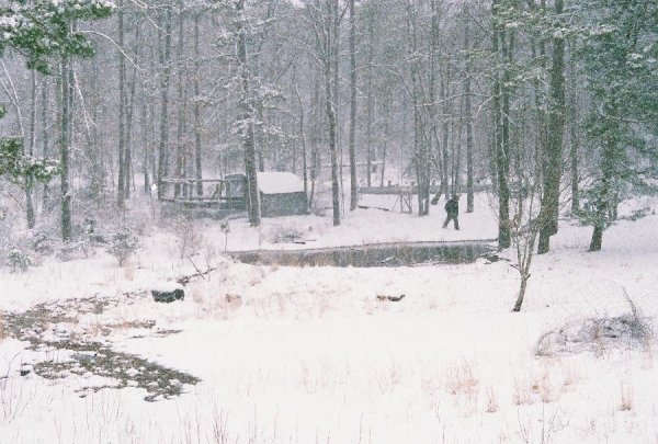 Andrew returning from the chicken house