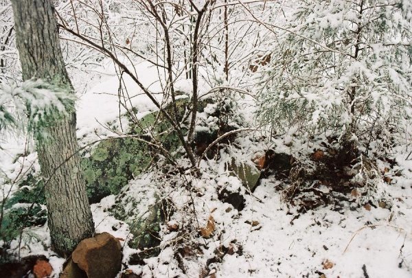 Snowy rocks