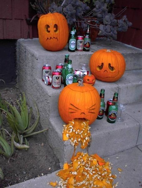 Do you know where your pumpkins are tonight?